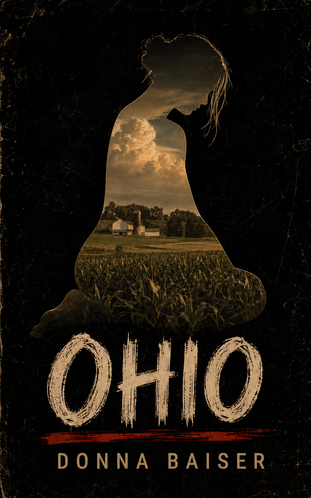 Cover of Ohio by Donna Baiser